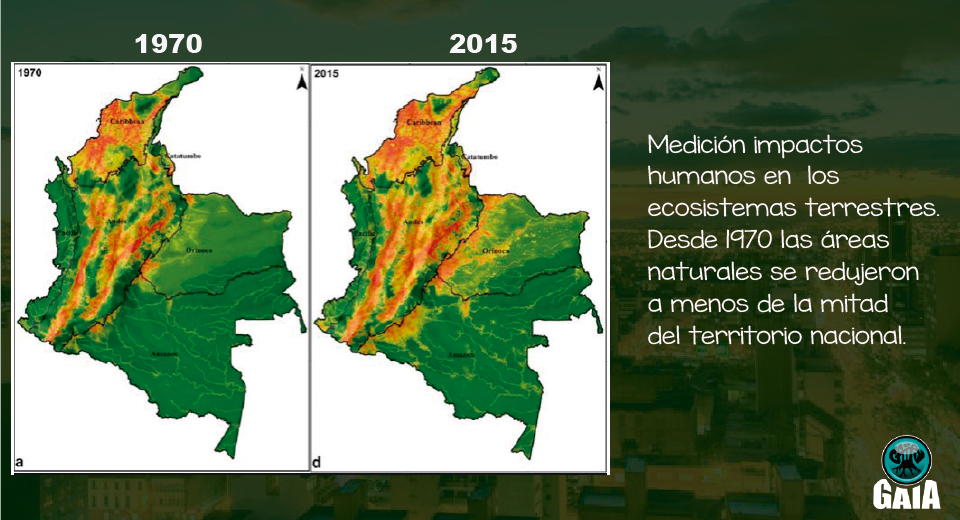 Impacto Humano En Los Ecosistemas De Colombia Gaia Tierra Viva