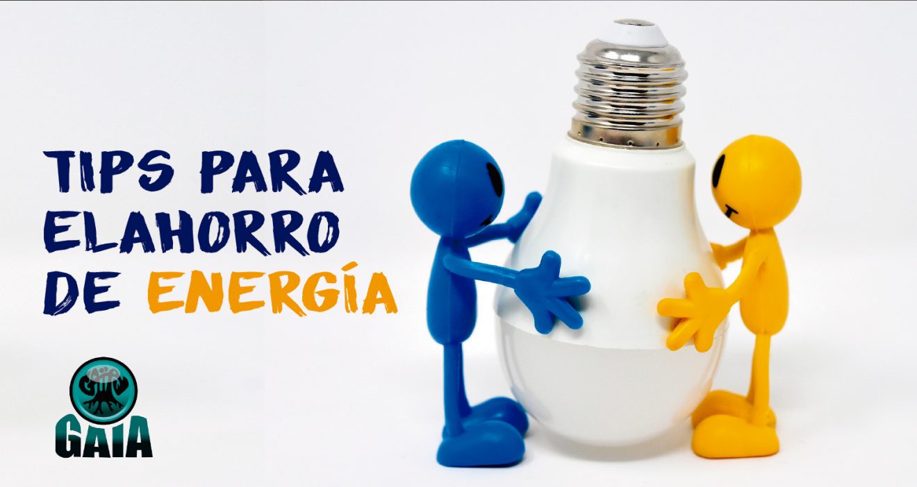 Tips Para El Ahorro De Energ A Gaia Tierra Viva