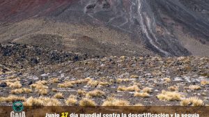 Junio 17 día mundial contra la desertificación y la sequía