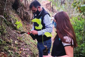 Funciones de los Árboles - Día del Árbol - GAIA TIERRA VIVA